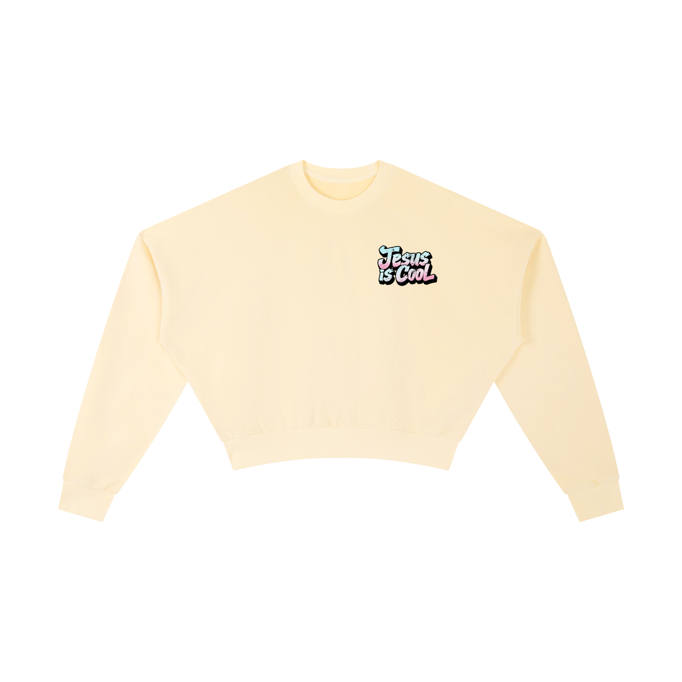 Vintage Washed Cropped Sweatshirt